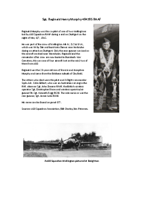 A preview of a PDF biography for Murphy, Reginald Henry
